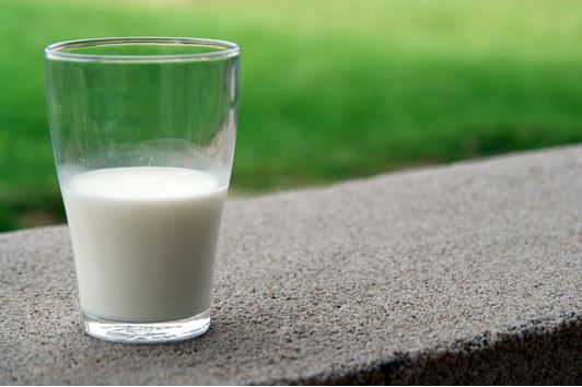 Why Milk Is Important for Kids and Their Growth?