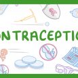 8 Contraception Myths Busted for You - Checkout Now