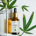 Commonly Asked Questions About CBD - Must Read